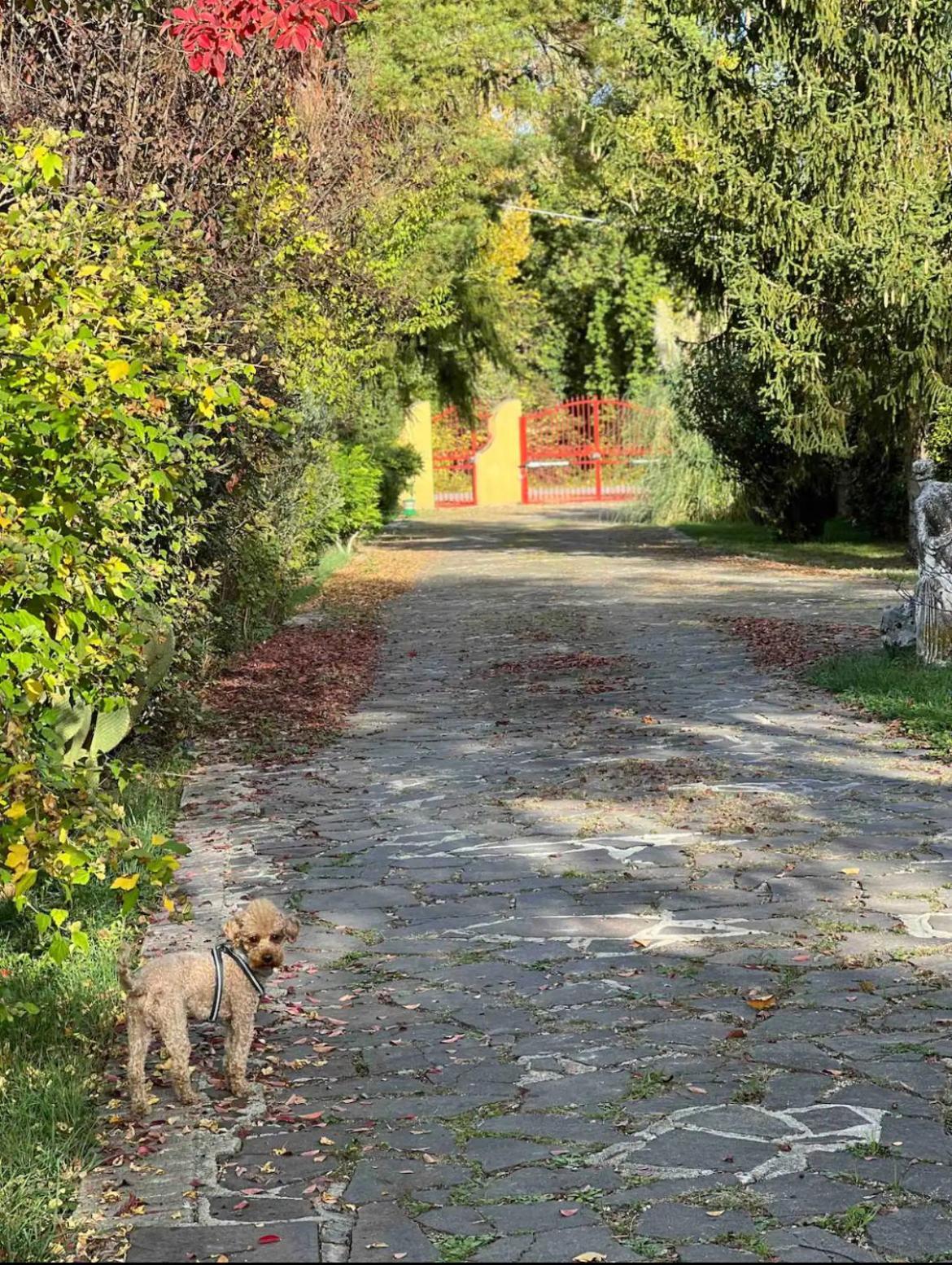 Villa Alberto Sulmona Zewnętrze zdjęcie